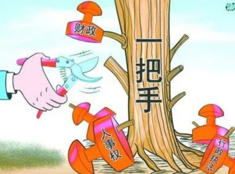 你確定你們的項目是“一把手工程”？